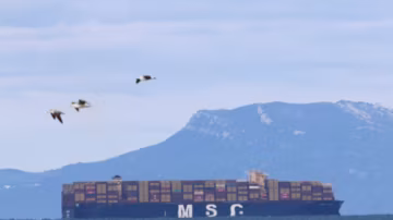 Transport maritime : l’Afrique profite du détournement des routes commerciales autour du cap