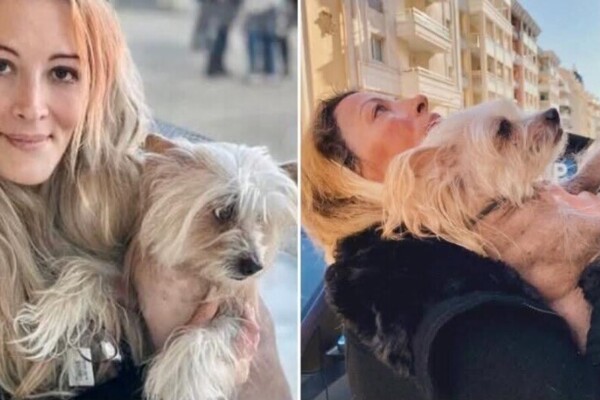 La tragédie jusqu'au bout : Titi, le chien de Loana, est décédé avec sa maîtresse