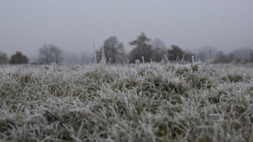 Météo : douceur printanière mais gelées matinales, un changement se profile à l’ouest