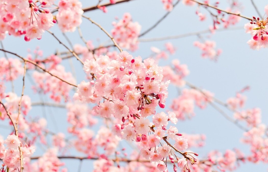 Météo : le retour du beau temps cette semaine, mais une dégradation au sud-est
