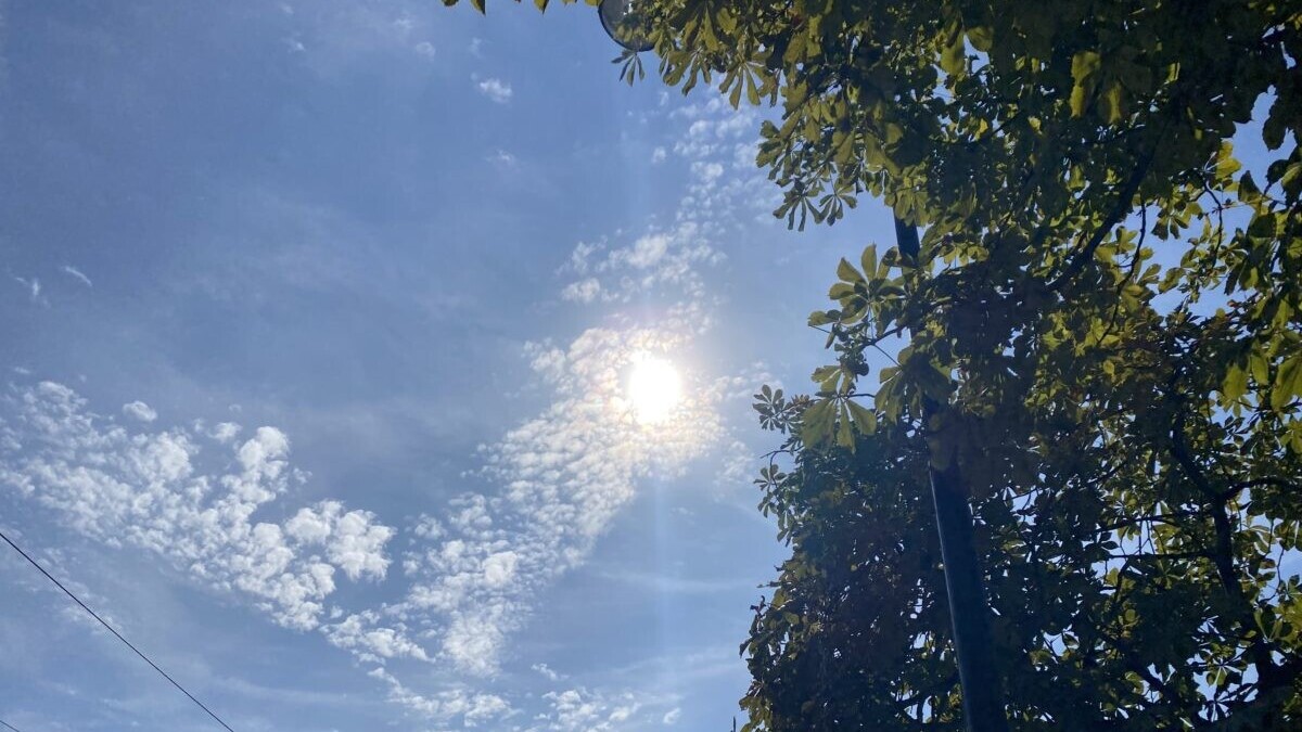 Météo : un premier jour de printemps sous le soleil et la douceur