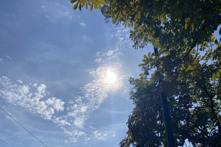 Météo : un premier jour de printemps sous le soleil et la douceur