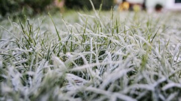 Météo du 2 avril : grisaille à l’ouest, gelées à l’est et vent fort au sud