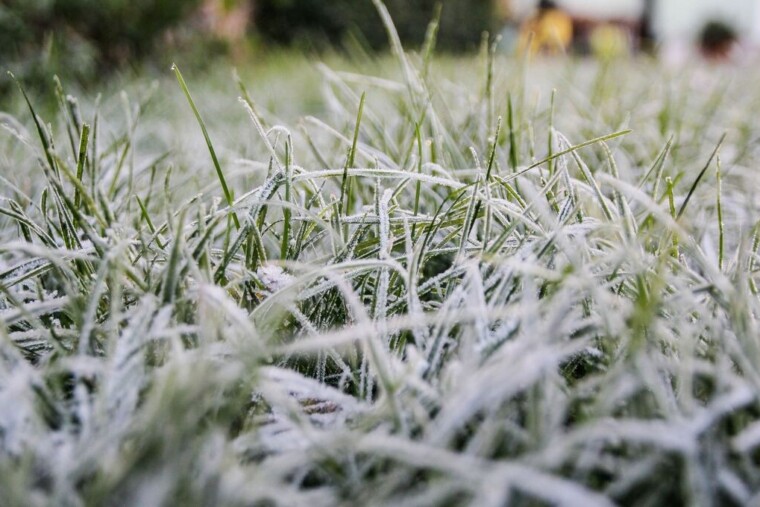 Météo du 2 avril : grisaille à l’ouest, gelées à l’est et vent fort au sud