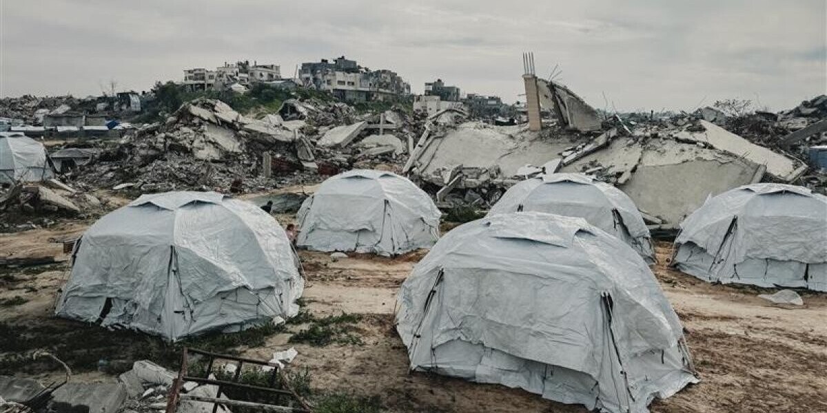 À Gaza, une infestation de rats aggrave la crise sanitaire dans les camps de déplacés