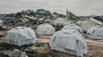 À Gaza, une infestation de rats aggrave la crise sanitaire dans les camps de déplacés