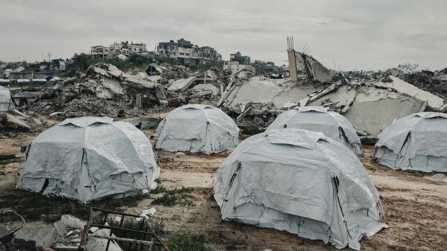 À Gaza, une infestation de rats aggrave la crise sanitaire dans les camps de déplacés