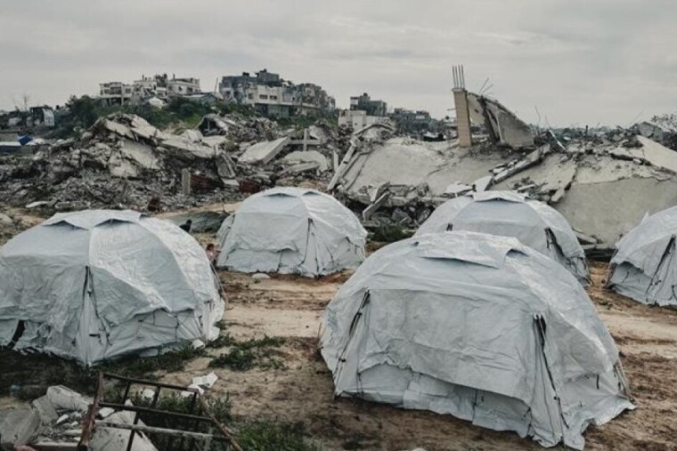 À Gaza, une infestation de rats aggrave la crise sanitaire dans les camps de déplacés