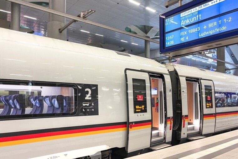 Allemagne : une passagère oublie un colis contenant 20 mygales dans un train