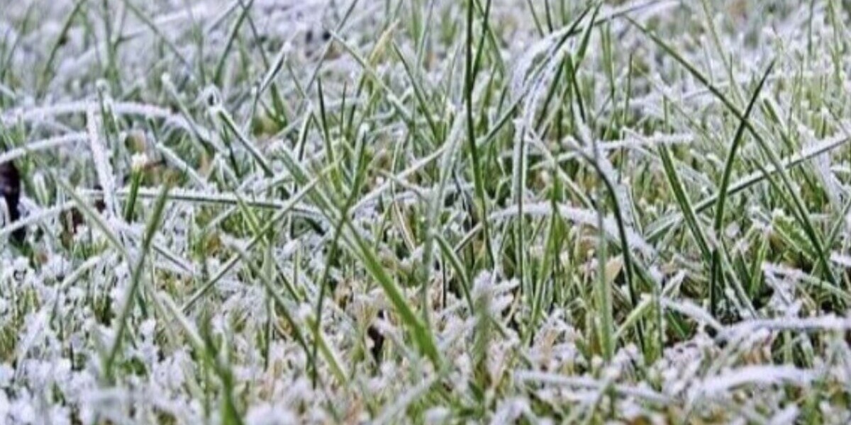 Mardi : après le gel matinal, le retour du soleil et de la douceur