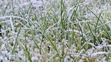 Mardi : après le gel matinal, le retour du soleil et de la douceur