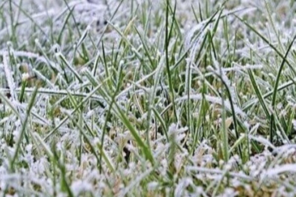 Mardi : après le gel matinal, le retour du soleil et de la douceur