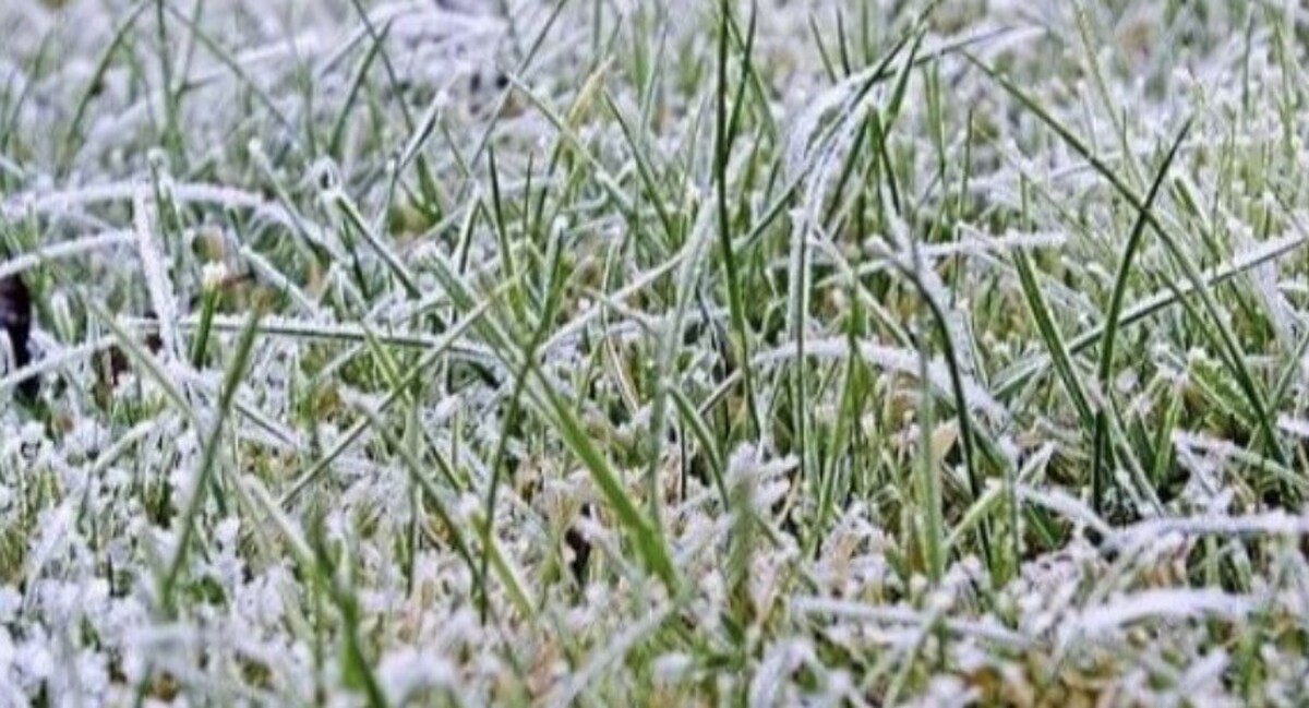 Tuesday's weather: after the morning frost, sunshine and mild temperatures return