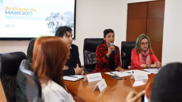 Colombie : un plan controversé d’euthanasie pour freiner l’explosion des hippopotames envahissants