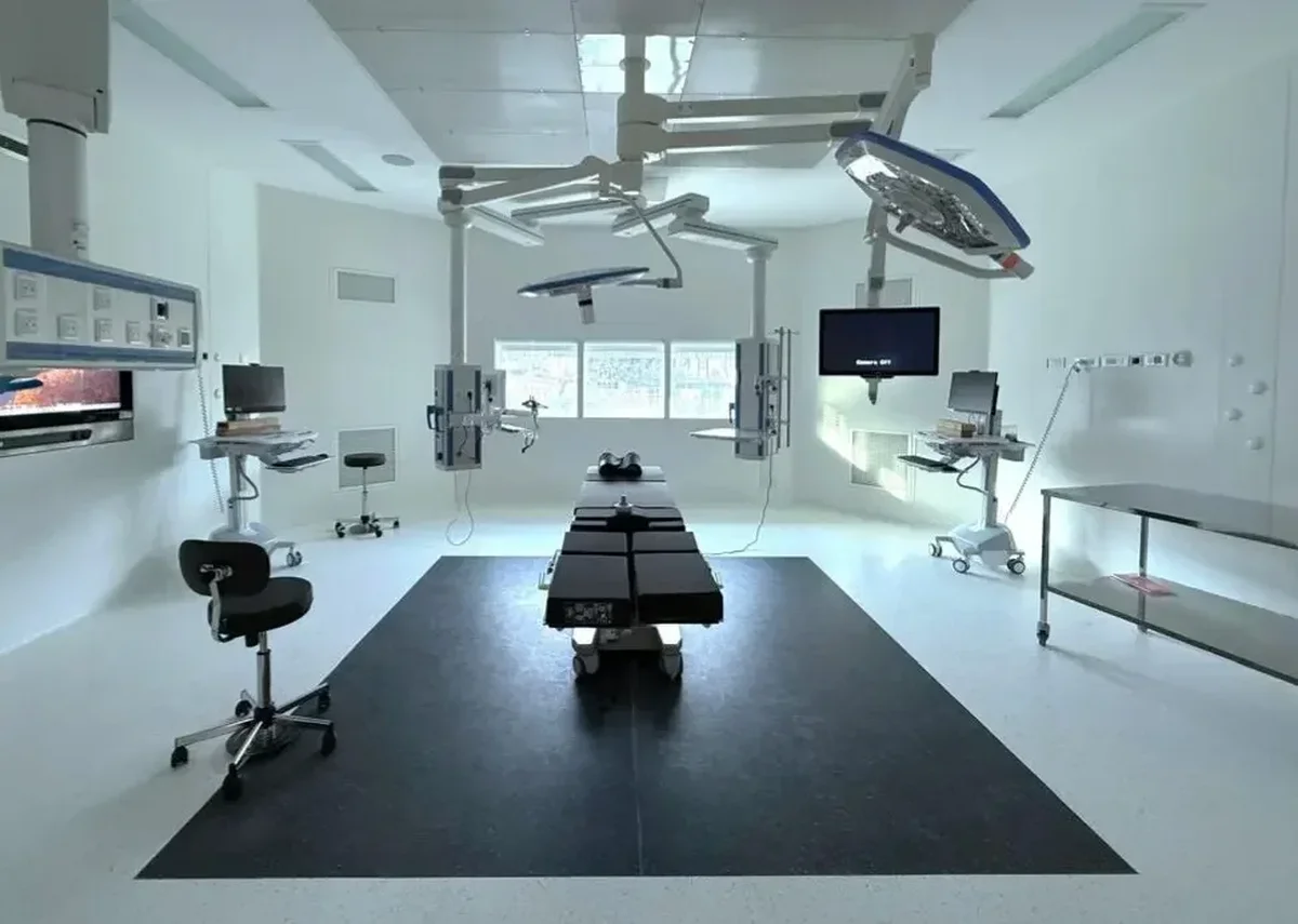 Egg freezing: waiting lists are growing in hospitals