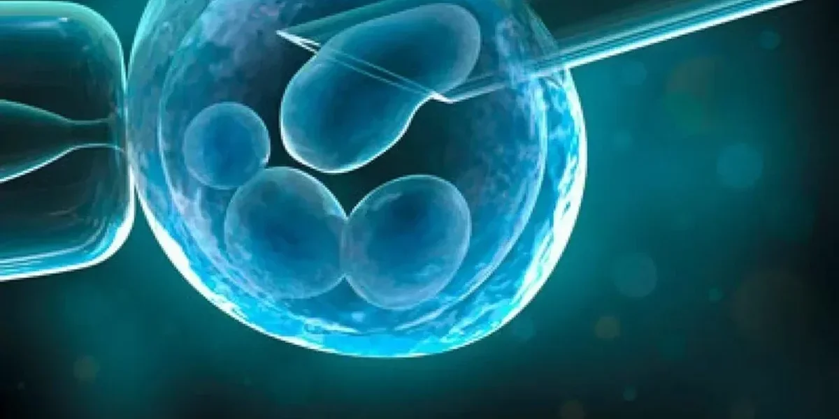 DPI-A en PMA, le retour d'un test qui divise la France