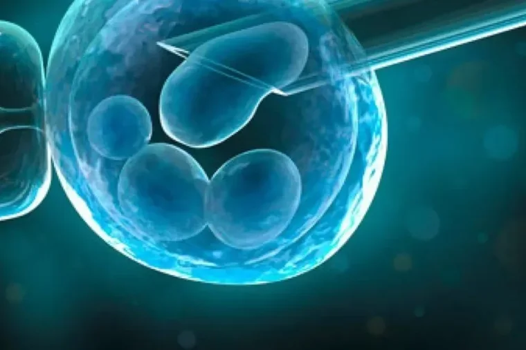 DPI-A en PMA, le retour d'un test qui divise la France