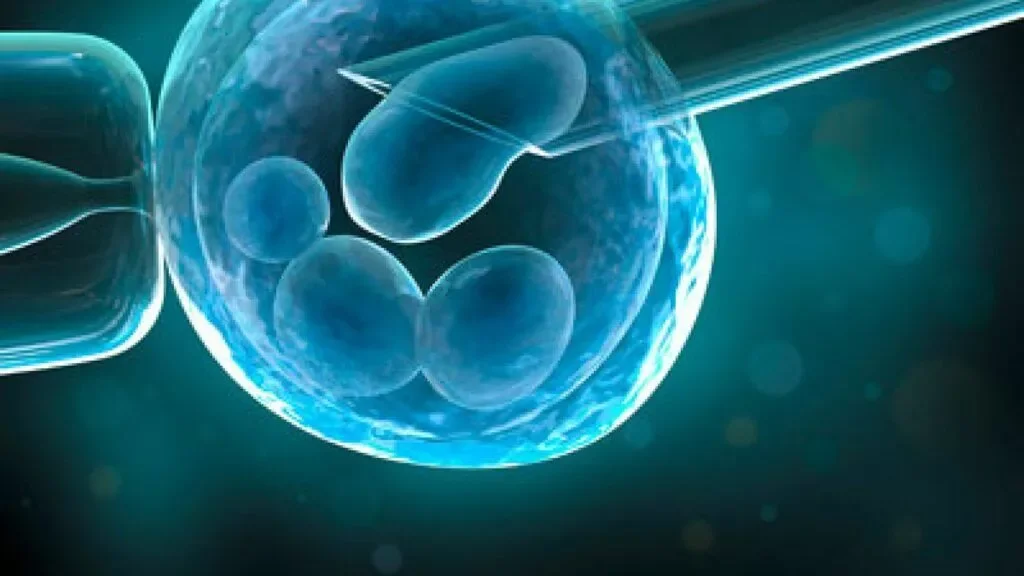 Preimplantation genetic testing for aneuploidy (PGT-A) in assisted reproductive technology (ART): the return of a test that divides France