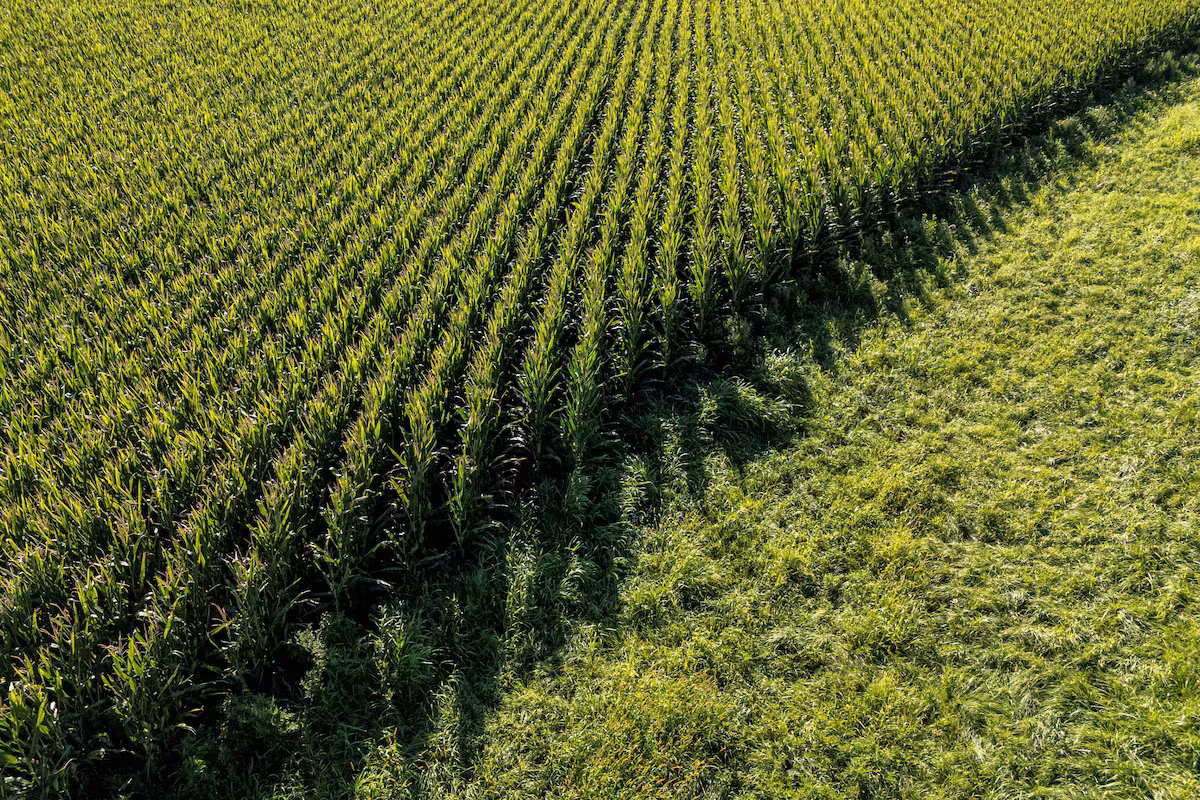États-Unis : les agriculteurs serrent la vis sur les machines face à une saison jugée peu rentable