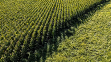 États-Unis : les agriculteurs serrent la vis sur les machines face à une saison jugée peu rentable