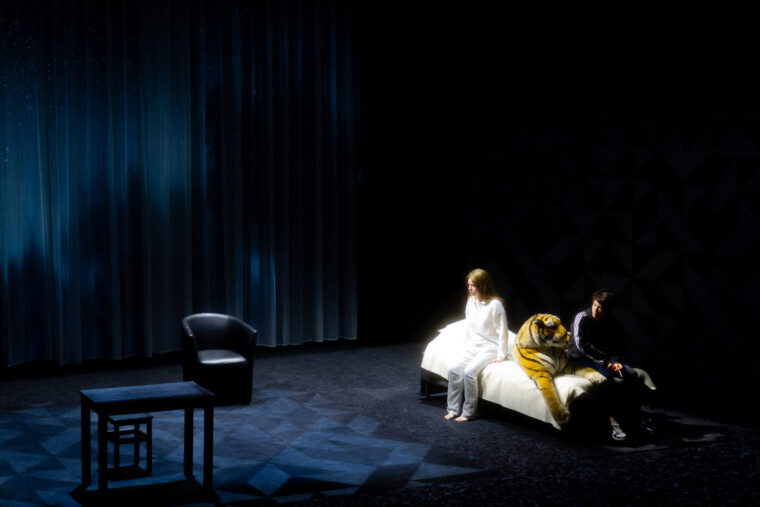 Molières 2026 : Joël Pommerat domine avec cinq nominations majeures