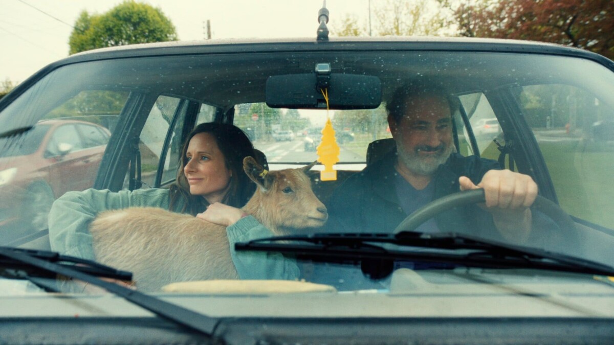 Pour « Élise sous emprise », son film sur les crises de panique, cette réalisatrice s’est inspirée… de chèvres Invitée sur le plateau de « C à vous » sur France 5, Marie Rémond est revenue sur cette manière si particulière qu’ont les chèvres myotoniques de se figer lorsqu’elles sont effrayées. Par Valentin Etancelin Partager Nos amies les chèvres ont sans doute plus en commun avec certains d’entre nous que d’aimer grimper aux arbres. Les crises de panique, notamment. Invitée du dernier numéro de C à vous sur France 5, ce lundi 20 avril, la réalisatrice du film Élise sous emprise, qui arrive en salles ce mercredi, semble être plus ou de moins de cet avis. « J’étais tombée sur un documentaire, raconte la cinéaste dans un premier temps. C’étaient des chèvres qu’on ne trouve qu’aux États-Unis, les chèvres myotoniques. » Aussi appelées « fainting goats », ces dernières voient leurs muscles se figer brusquement lorsqu’elles sont effrayées, les faisant subitement tomber d’un côté ou de l’autre. LIRE AUSSI « Juste une illusion » d’Olivier Nakache et Éric Tolédano, un délicieux voyage dans le temps qui fait du bien « C’est génétique chez elles », précise Marie Rémond, qui dit s’en être inspirée. Dans Élise sous emprise, l’héroïne qu’elle campe est engluée dans une relation toxique avec un homme. Propulsée à la tête d’une troupe de théâtre, celle-ci se sent submergée. Les crises de panique se multiplient et la font vaciller. Comment reprendre le contrôle ? Un lien « un peu farfelu » avec les chèvres « Dans le fait de se raidir et se figer d’un coup, il y avait pour moi complètement un parallèle avec les attaques de panique que l’on peut avoir dans le métro, quand ça s’arrête entre deux rames et qu’on a l’impression qu’on ne va plus pouvoir respirer », continue la cinéaste sur le plateau d’Anne-Élisabeth Lemoine. Cette dernière a poussé la comparaison jusque dans le scénario de son film, baptisé initialement Les chèvres aussi s’évanouissent. Pour l’aider à se calmer, Joseph, l’ami d’Élise, ne lui demande pas comment elle va. Il lui met une chèvre entre les bras, clin d’œil aux animaux de soutien émotionnel, prescrits aux États-Unis notamment. Marie Rémond et Gustave Kervern, ici dans « Élise sous emprise ». FILMS GRAND HUIT Marie Rémond et Gustave Kervern, ici dans « Élise sous emprise ». Une touche d’humour pour aller plus loin. « J’avais envie que le film aborde ce qui se passe concrètement dans le cerveau, poursuit la réalisatrice dans les notes de production. Le lien avec les chèvres myotoniques est un peu farfelu, mais cela m’amusait de trouver une expression de ce “cerveau primitif” animal, qui réagit avant d’analyser. » Action, réaction