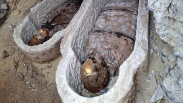 Un fragment de l'Iliade découvert dans l'abdomen d'une momie : une première mondiale en Égypte