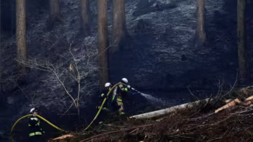 Japon : plus de 3 000 évacuations face à des incendies majeurs dans le nord du pays