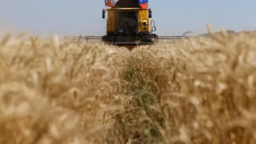 L’Ukraine demande à Israël de saisir un navire soupçonné de transporter du grain « volé »
