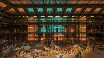 Le Muséum national d’histoire naturelle de Paris confronté à une dégradation accélérée de ses infrastructures