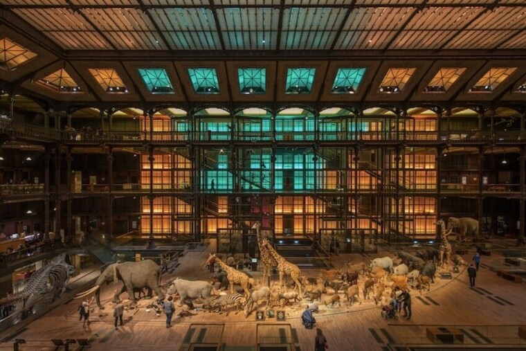 Le Muséum national d’histoire naturelle de Paris confronté à une dégradation accélérée de ses infrastructures