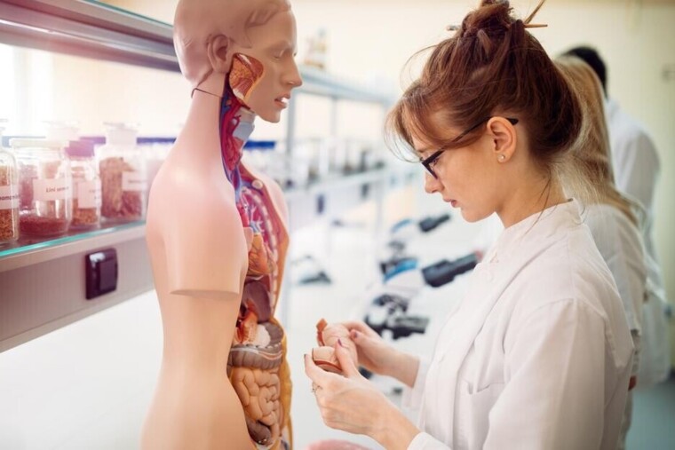 Le gouvernement prévoit une voie unique pour la première année des études de santé