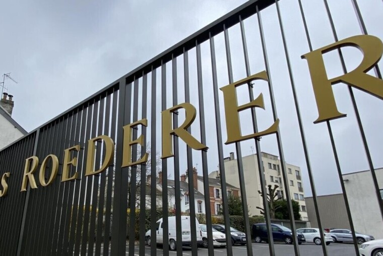 Louis Roederer en négociations exclusives pour racheter un domaine en Bourgogne