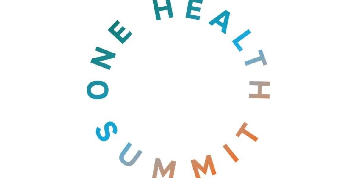 Lyon : la « santé unique » s’invite au sommet des États