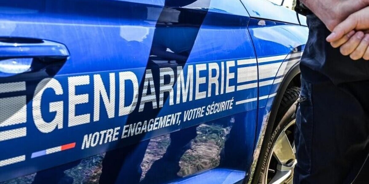 Martinique : plus de 5 kg de cannabis et des armes saisis lors d’une opération au François