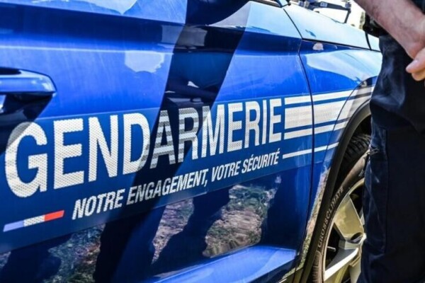 Martinique : plus de 5 kg de cannabis et des armes saisis lors d’une opération au François