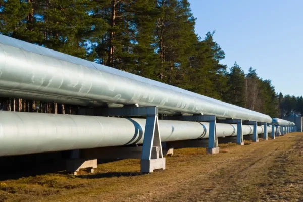 Menace sur une infrastructure stratégique : des explosifs découverts près d’un gazoduc en Serbie