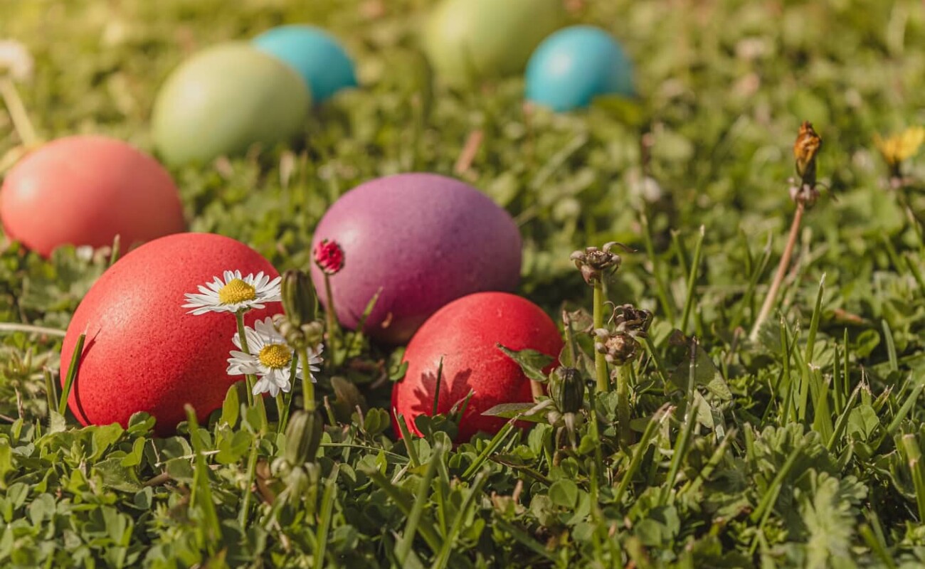Pourquoi, à Pâques, on traque des oeufs dans l'herbe
