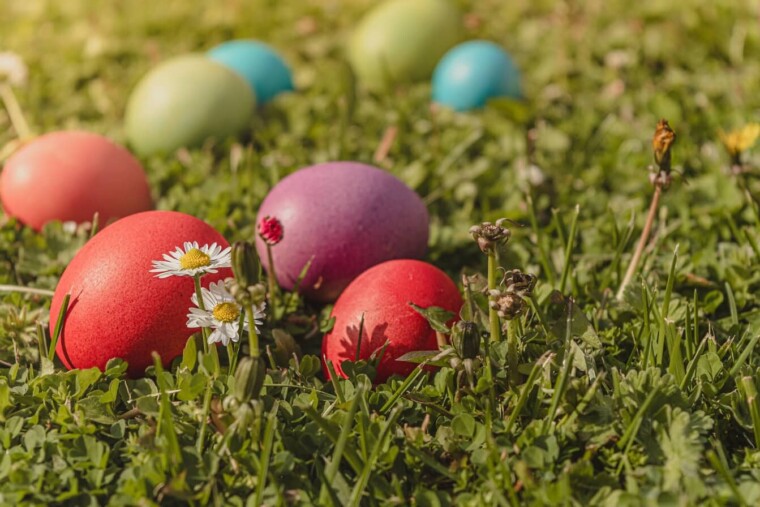Pourquoi, à Pâques, on traque des oeufs dans l'herbe