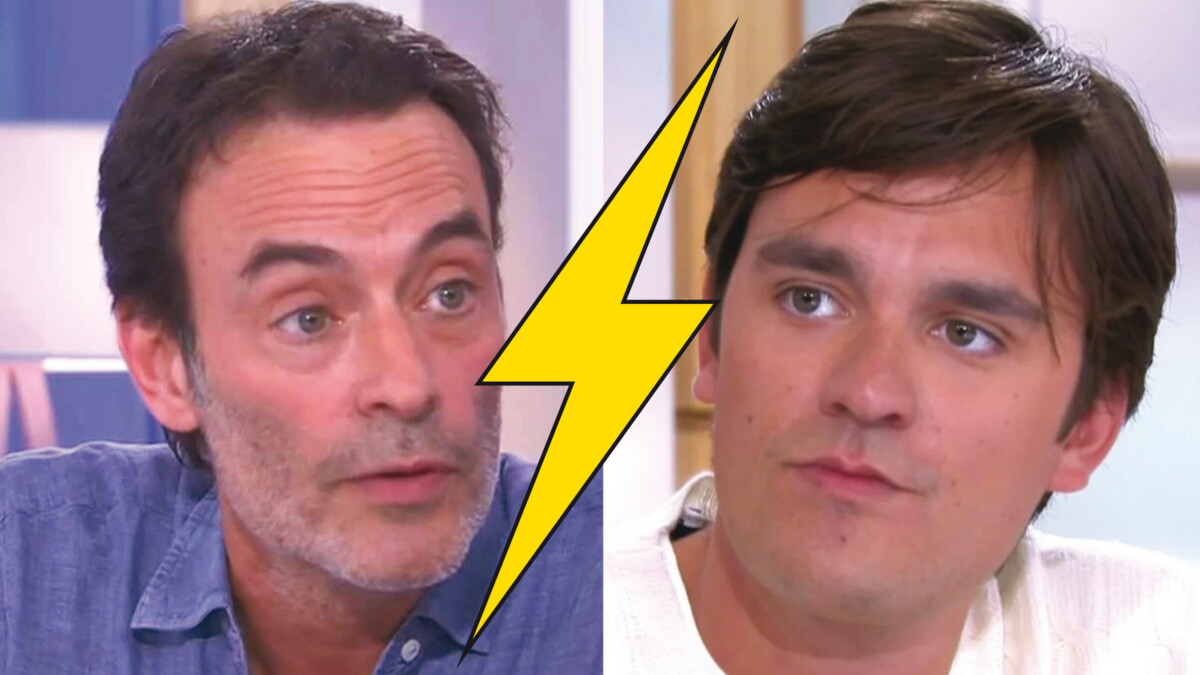 VIDÉO - Anthony Delon dézingue son frère : "Un an et demi que ce guignol emmerde son monde ! Va travailler, ça va t’ancrer dans la vraie vie" (Entrevue)