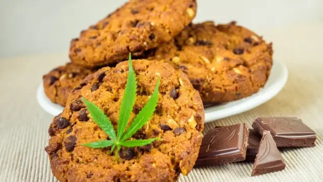 À partir du 15 mai, les produits alimentaires au CBD disparaîtront du marché