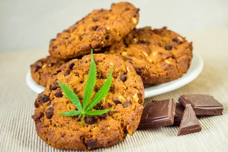 À partir du 15 mai, les produits alimentaires au CBD disparaîtront du marché