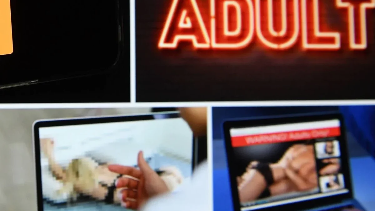 Affaire French Bukkake : un procès aux assises pour le premier grand dossier de violences sexuelles dans le porno amateur
