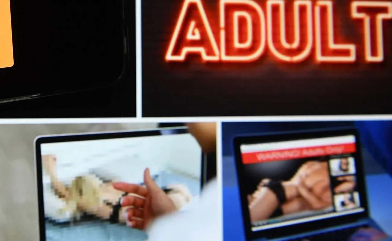 Affaire French Bukkake : un procès aux assises pour le premier grand dossier de violences sexuelles dans le porno amateur