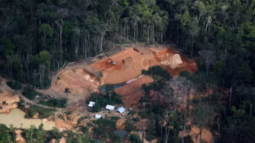 Amazon: A pesar de la represión, miles de millones de dólares en oro siguen siendo extraídos ilegalmente en Brasil.