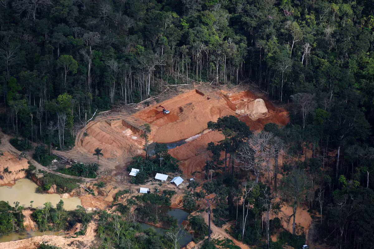 Amazon: Despite the crackdown, billions of dollars worth of gold continue to be illegally mined in Brazil