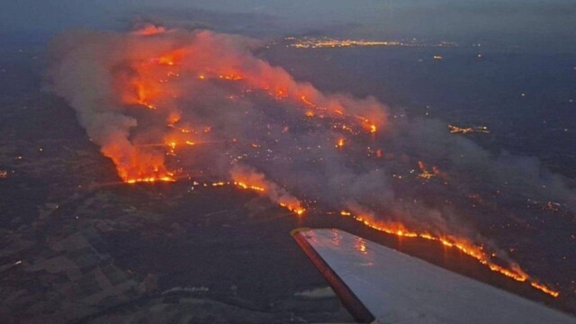 Dans l’Aude, reconstruire la forêt après les flammes pourrait prendre un siècle Dans l’Aude, reconstruire la forêt après les flammes pourrait prendre un siècle