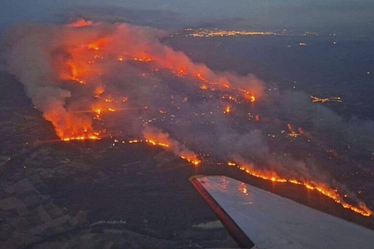 Dans l’Aude, reconstruire la forêt après les flammes pourrait prendre un siècle