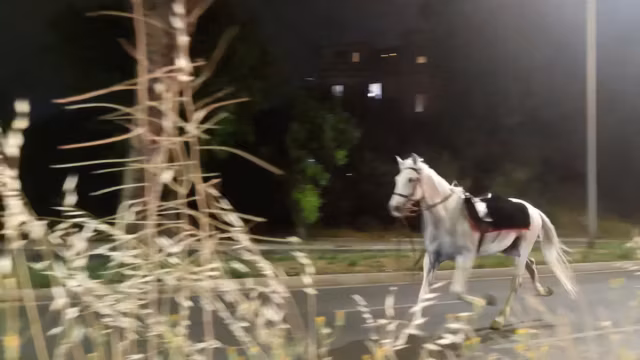 Des chevaux s’emballent dans les rues de Rome après des feux d’artifice tirés lors d’une répétition militaire — photo