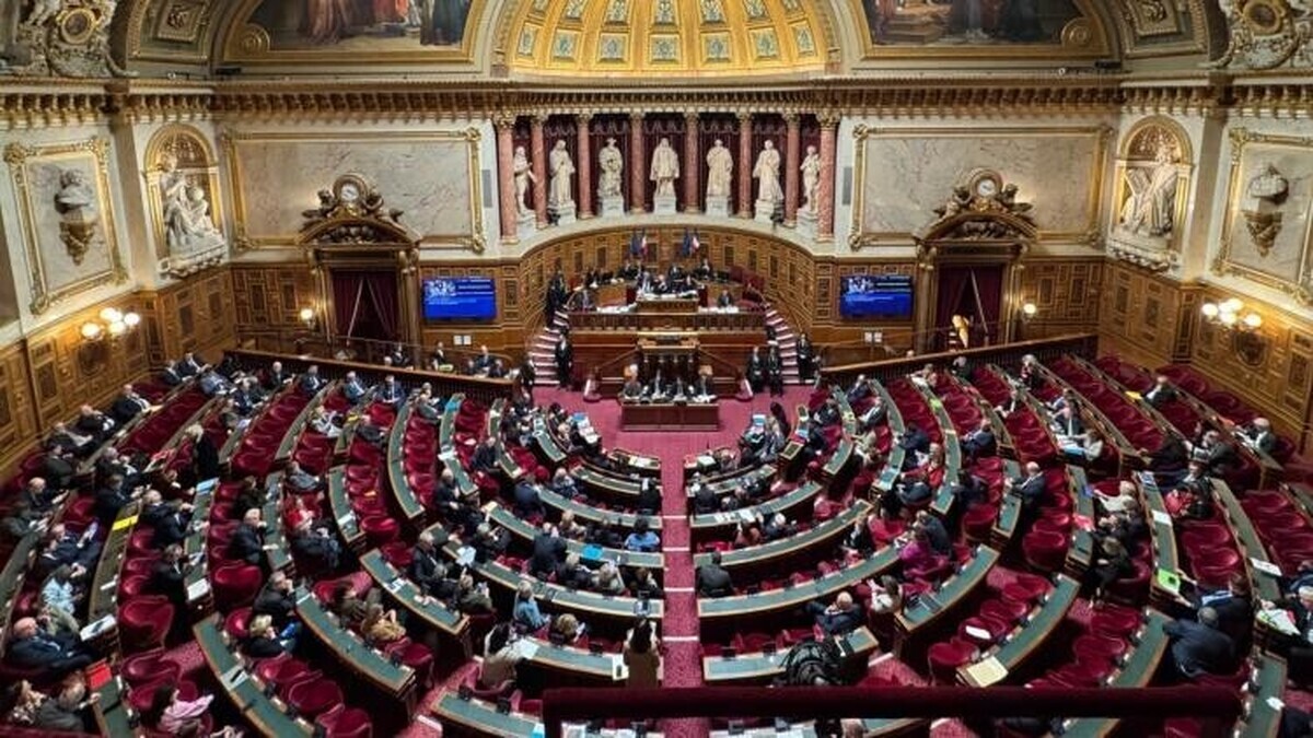 Fin de vie : le Sénat rouvre le dossier de l'aide à mourir, les personnes en situation d'handicap en alerte